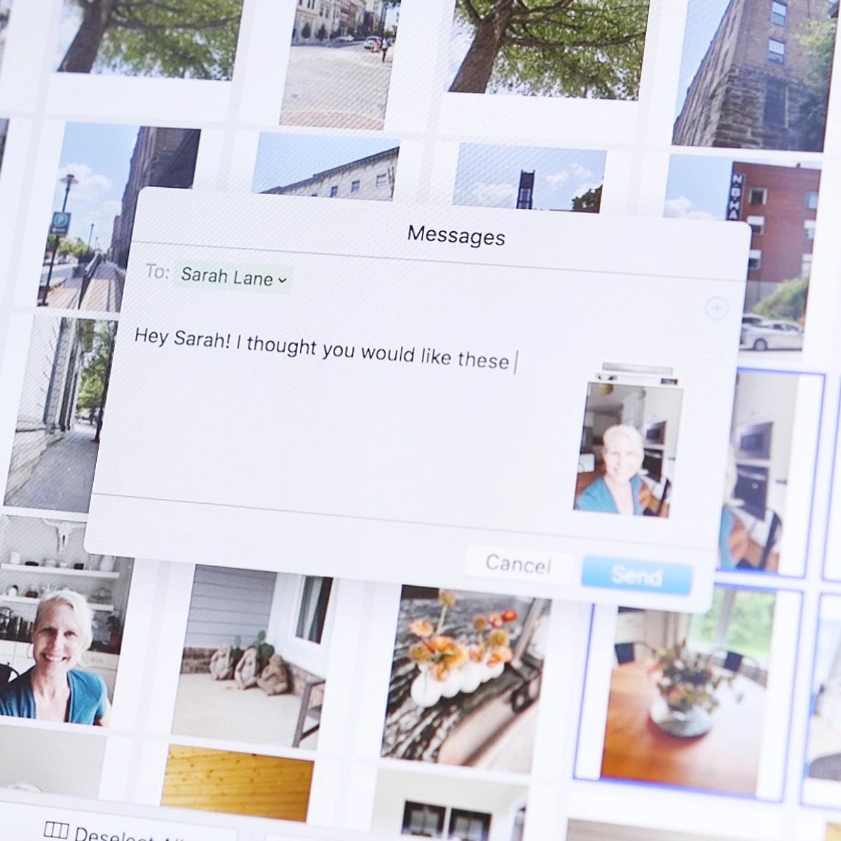 Photos selected for sending in ThePhotoStick software