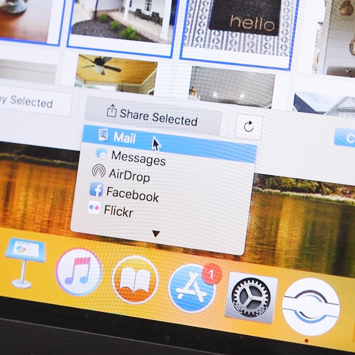 Sharing menu open in ThePhotoStick software over a grid of photos